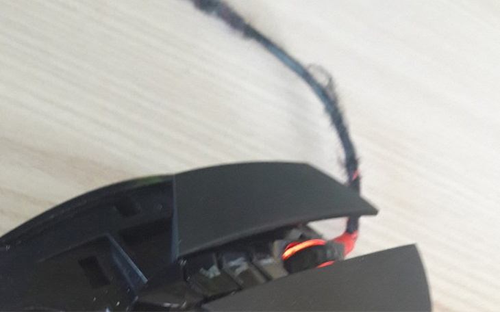 Zbiórka Operacja myszki bloody - zdjęcie główne