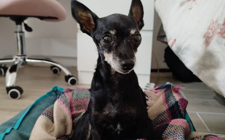 Zbiórka Na chorą wątrobę Rokiego - zdjęcie główne