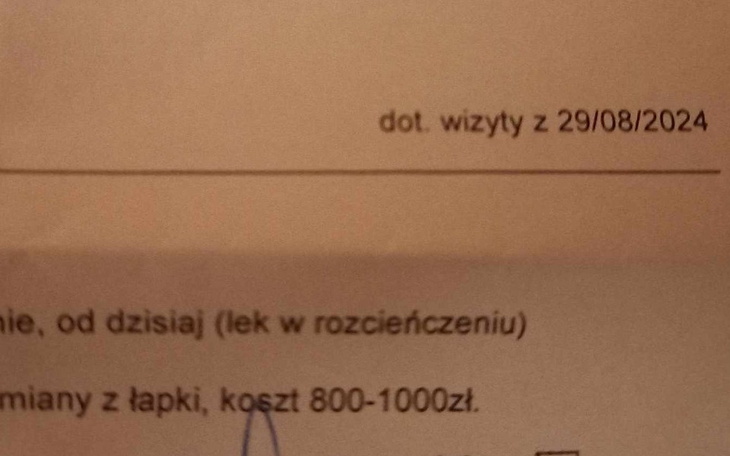 Zbiórka Ania - Operacja/Leczenie Chomika - zdjęcie główne
