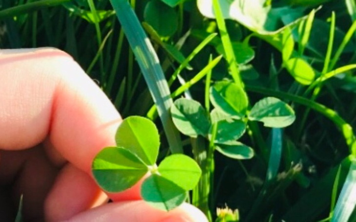 Zbiórka 150 tysięcy złotówek szczęścia😊 - zdjęcie główne