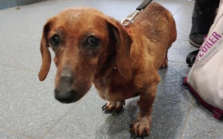 Zbiórka Zobacz, że WARTO nam POMAGAĆ - zdjęcie główne