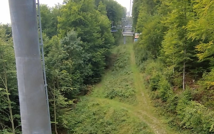 Widok z kolejki linowej w lesie.