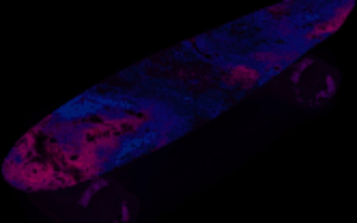 Zbiórka Zbieram Naa Prezent - zdjęcie główne