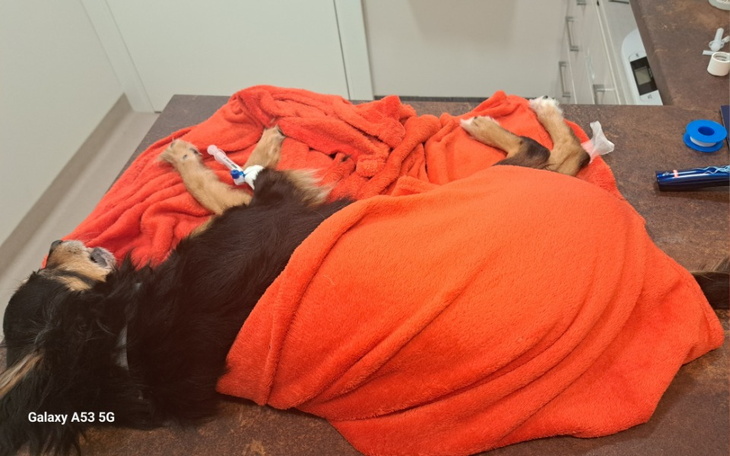 Zbiórka Diagnoza Florki Seniorki - zdjęcie główne