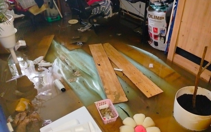 Zbiórka Kocham i próbuje - zdjęcie główne