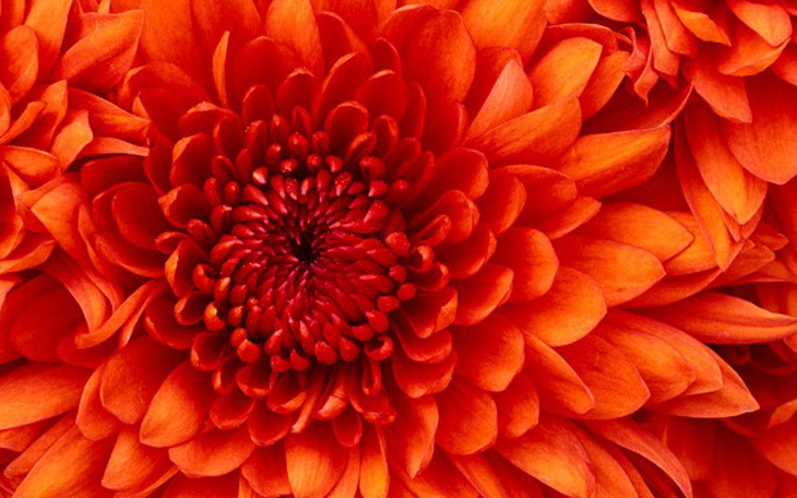 Zbiórka remont domu dla babci - zdjęcie główne