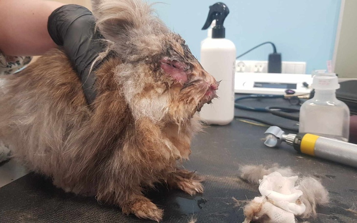 Zbiórka Ofiary wakacji - zdjęcie główne