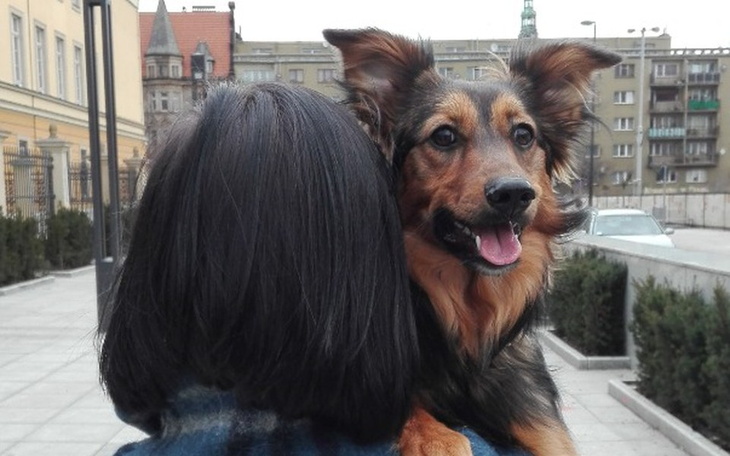 Zbiórka Zwierzakowo - dom tymczasowy - zdjęcie główne