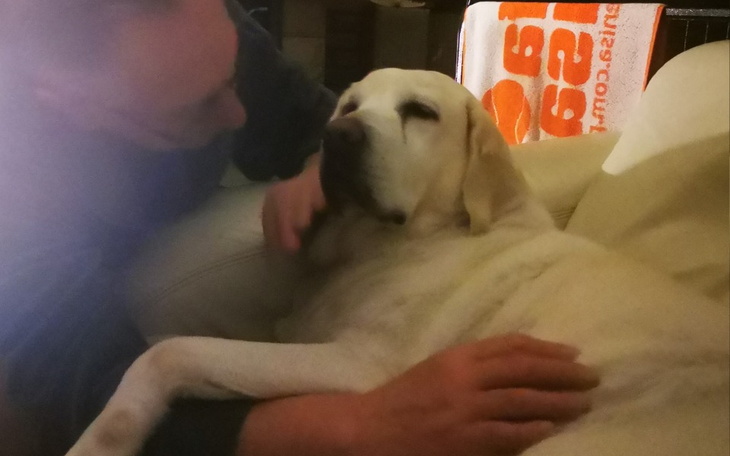 Zbiórka Pomagała dzieciom - pomóżmy jej - zdjęcie główne