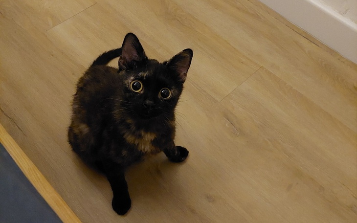 Zbiórka Kolejna walka Mikropy - zdjęcie główne