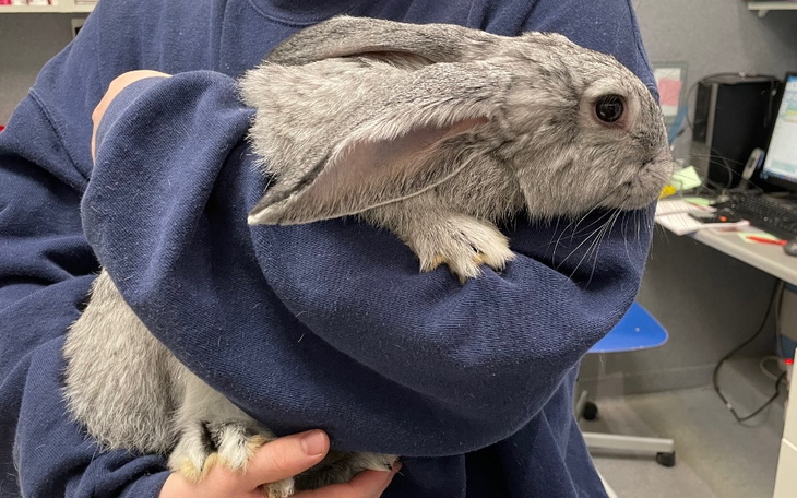 Zbiórka Leczenie tuśka - zdjęcie główne