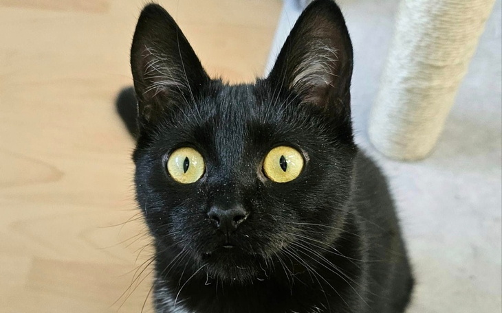 Zbiórka Zimowy bazarek dla ArbuZa - zdjęcie główne