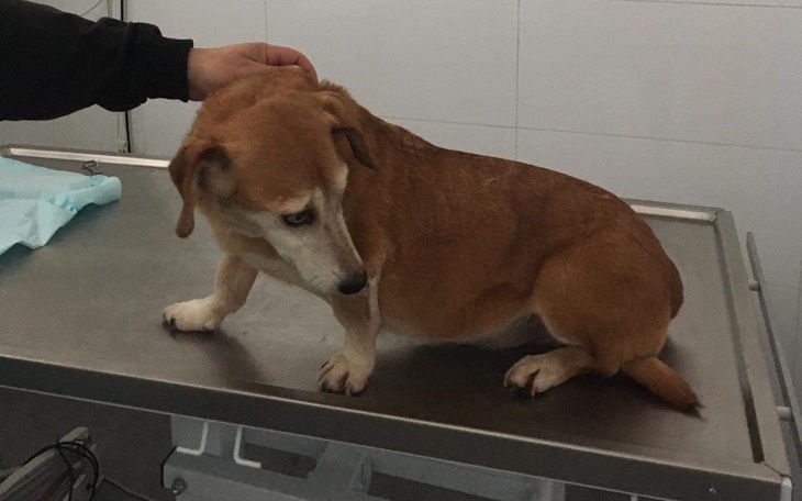 Zbiórka Do końca - zdjęcie główne