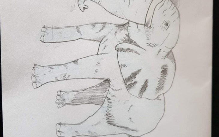 Zbiórka Błagam kochani pomóżcie - zdjęcie główne