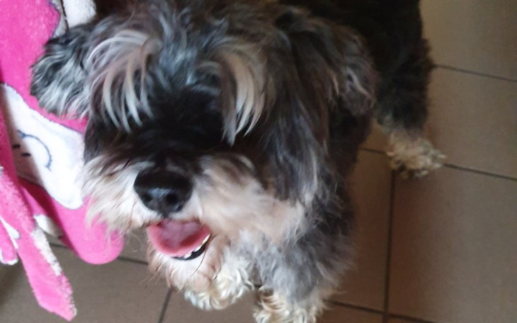 Zbiórka Leczenie zębów Kajtusia - zdjęcie główne