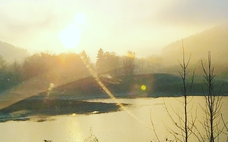 Zbiórka Pomoc w zbieraniu - zdjęcie główne