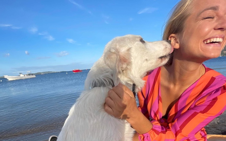 Zbiórka Piesek moich marzeń - zdjęcie główne