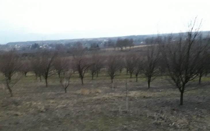 Zbiórka Czy pomożesz spełnić marzenie ? - zdjęcie główne