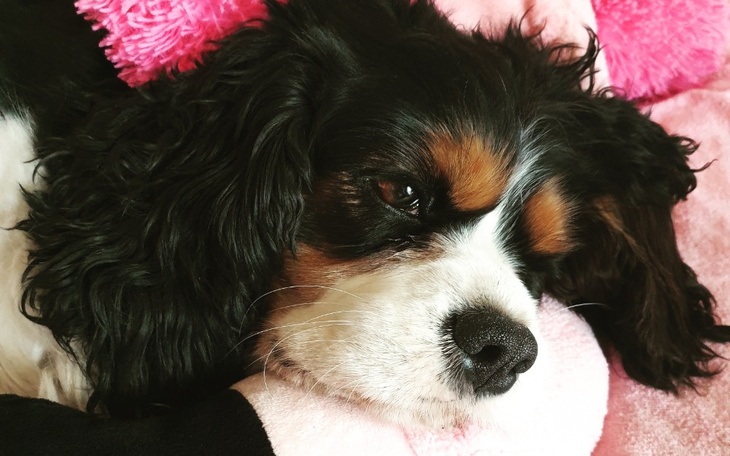 Zbiórka Nowy słuch Channel - zdjęcie główne