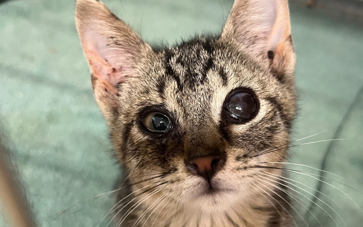 Zbiórka Daj nadzieję najsłabszym - zdjęcie główne