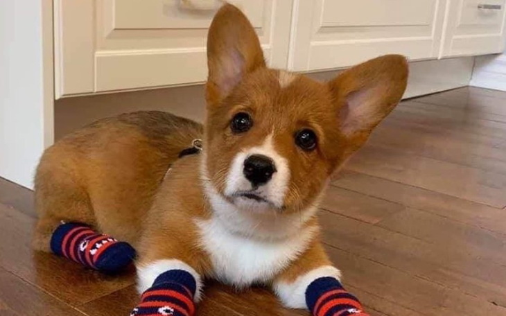 Zbiórka na PRIME do CSGO - zdjęcie główne