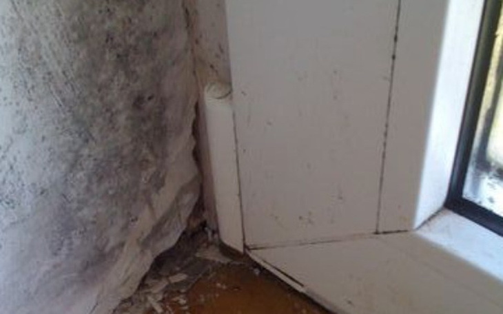 Zbiórka Grzyb na ścianie/nowe okna - zdjęcie główne