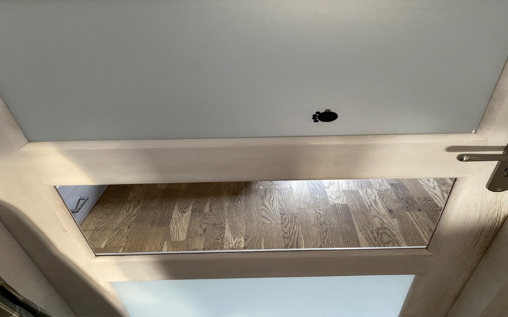 Zbiórka straty po domowce no - zdjęcie główne