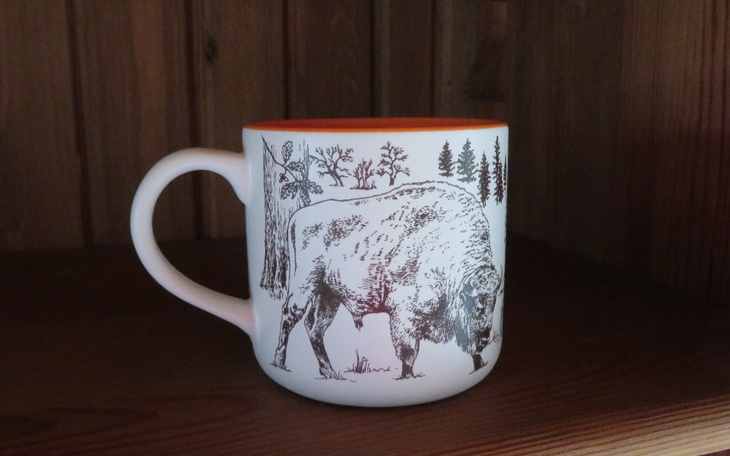 Zbiórka Kubek dla uchodźców - zdjęcie główne