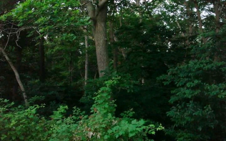 Zbiórka na przetrwanie jedzenie .... - zdjęcie główne