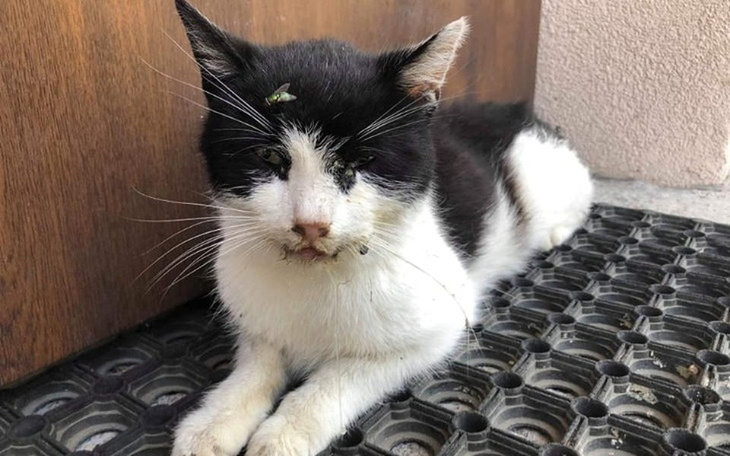 Zbiórka Uratuj mnie człowieku - Fiz - zdjęcie główne