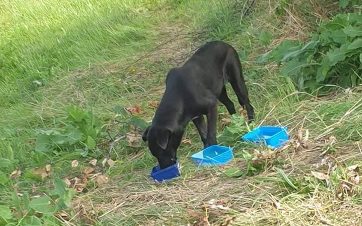 Zbiórka Młoda, porzucona w rowie - zdjęcie główne