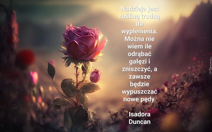 Zbiórka Wierzę w dobre serca. - zdjęcie główne