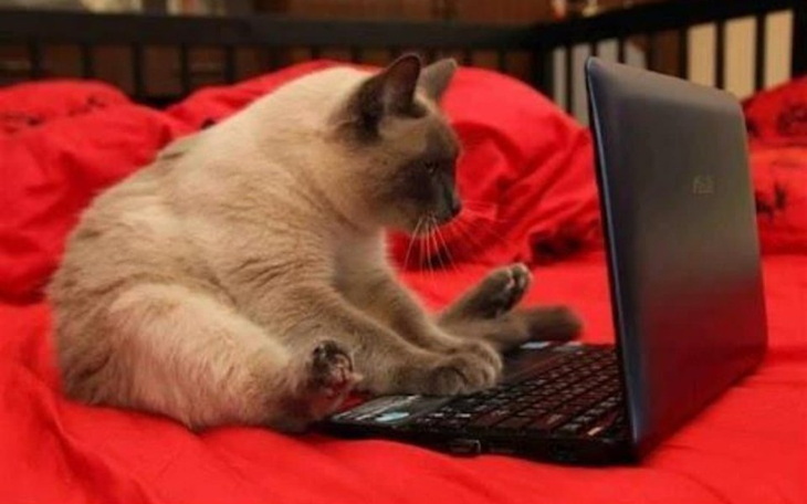 Zbiórka Strona dla Niczyjaków - zdjęcie główne