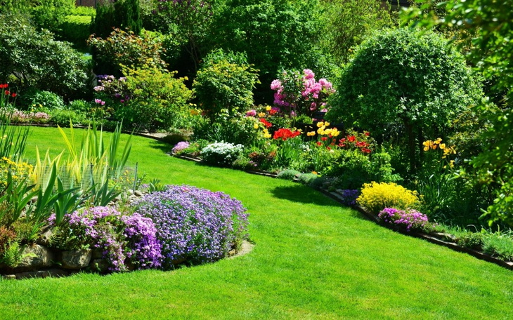 Zbiórka Ogródek działkowy moim marzeniem - zdjęcie główne