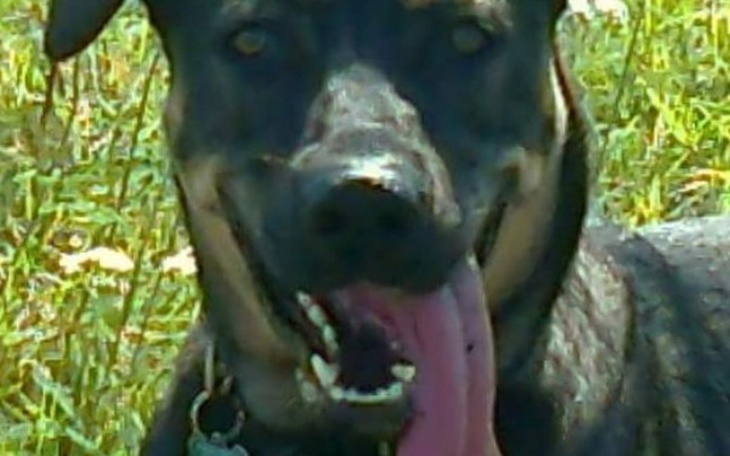 Zbiórka Na wyjście z długów finansowych - zdjęcie główne