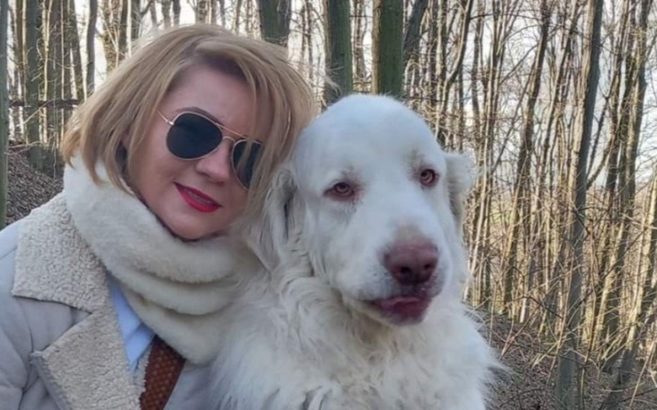 Zbiórka Pomoc dla Sylwii i jej rodziny - zdjęcie główne