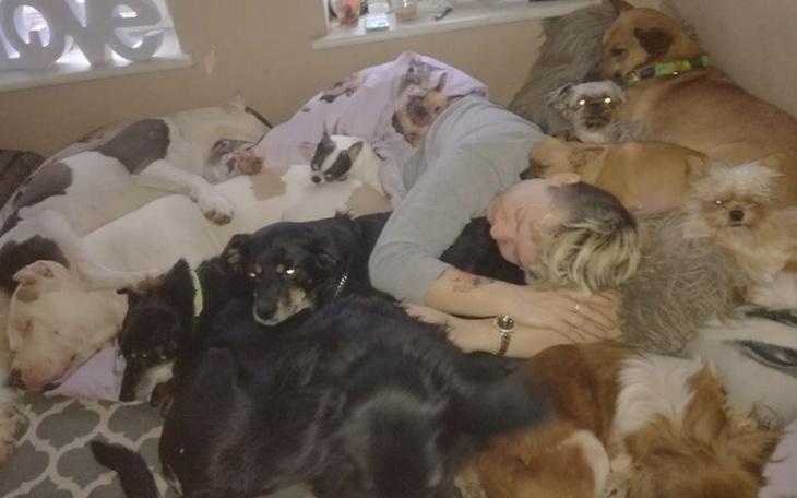 Zbiórka Na remont domku i dobudowke - zdjęcie główne