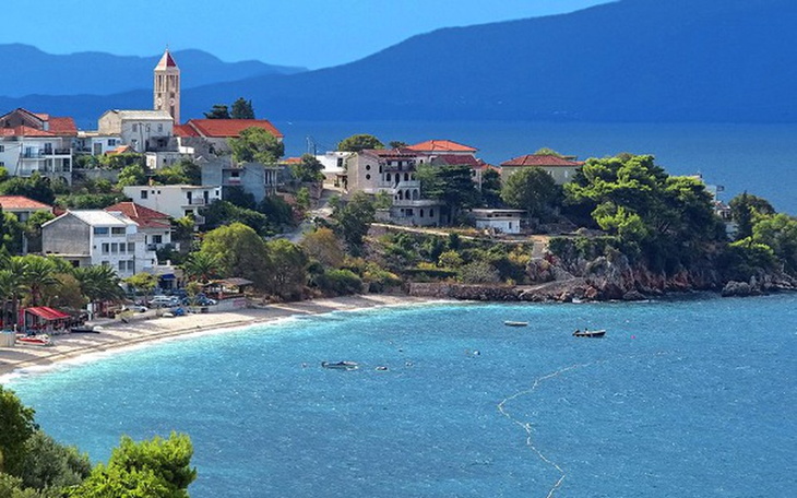 Zbiórka Zbieranie pinioszkow na wakacje - zdjęcie główne