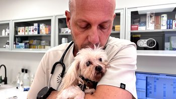 Zbiórka dla Lumi - miniaturka zdjęcia
