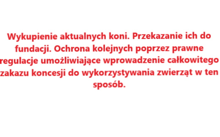 Zbiórka Ocalenie koni Morskie Oko - zdjęcie główne