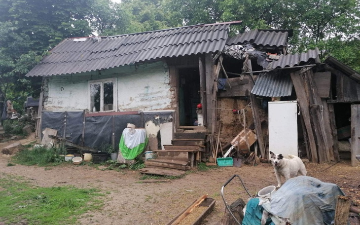 Zniszczony dom na wsi, z psem na podwórku.