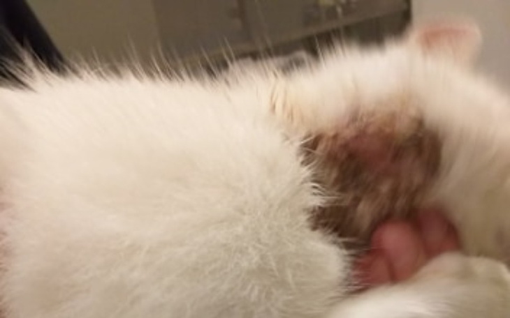 Zbiórka Wygramy z nowotworem - zdjęcie główne