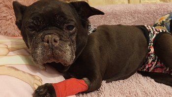 Zbiórka Na walkę z nowotworem żołądka - miniaturka zdjęcia