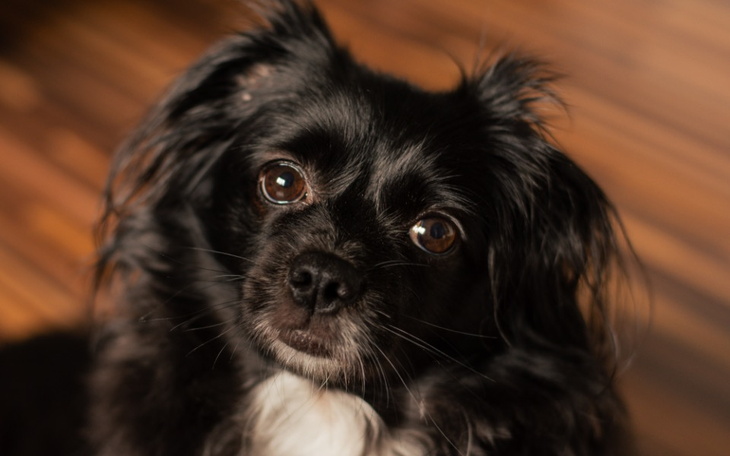 Zbiórka Na rezonans - zdjęcie główne