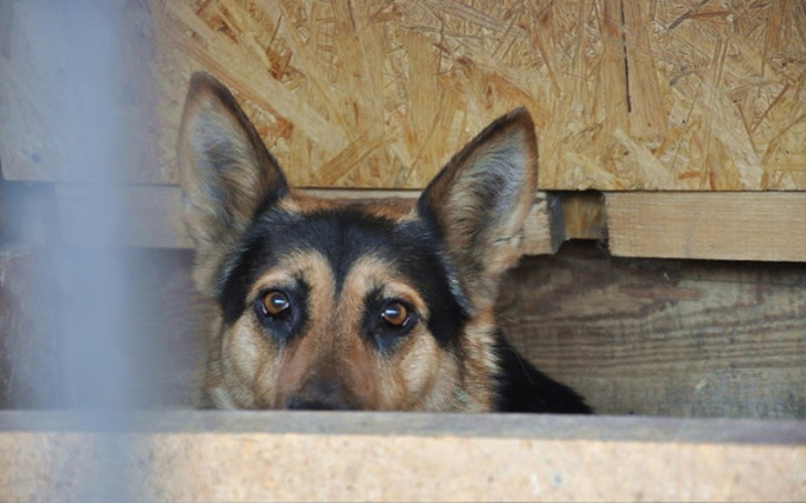 Zbiórka Strach ma smutne oczy.. - zdjęcie główne
