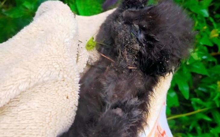 Zbiórka Pomóżmy podopiecznym Aportu - zdjęcie główne