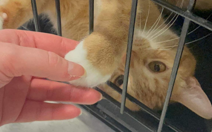 Zbiórka Wiecznie głodne brzuszki - zdjęcie główne