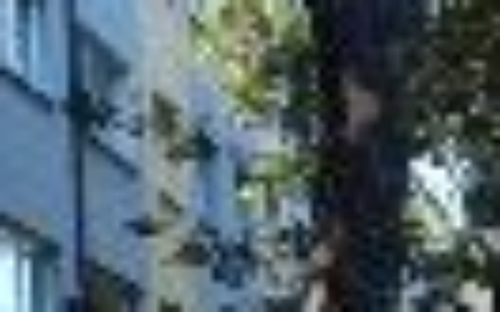 Zbiórka Na kome - zdjęcie główne