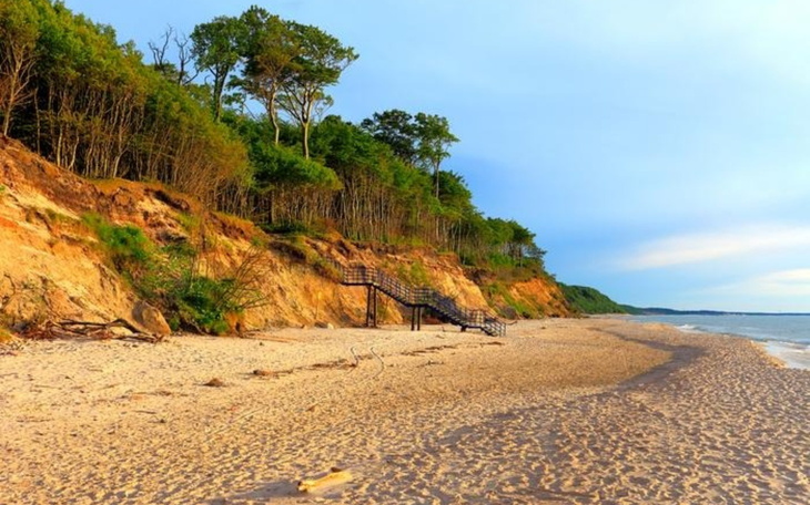 Plaża z drzewami i klatką schodową w tle.