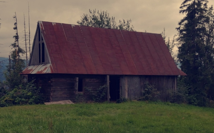 Zbiórka Swoje miejsce na ziemi. - zdjęcie główne